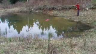 Clicker Training a Bird Dog Retrieve Part 2 Finishing Touches (fetch)