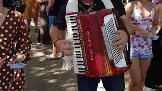 Mr Accordion Man  @mraccordionman