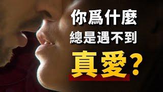 你值得擁有純粹的「真愛」嗎？硬核社會學，帶你了解當代價值觀如何異化愛情