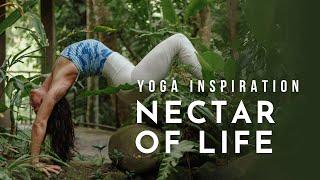 Yoga Inspiration: Nectar of Life | Meghan Currie Yoga
