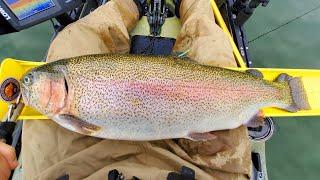 Cachuma Lake Rainbow Trout on the Troll