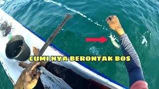 Mancing Cumi, Spot Tanjung Tinggi || Sampan Belitung