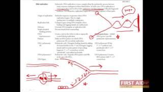 First Aid for the USMLE Step 1, BIOCHEM + 04 = DNA replication