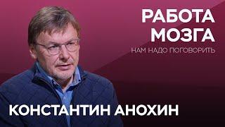 Как связаны мозг, сознание и душа / Константин Анохин // Нам надо поговорить