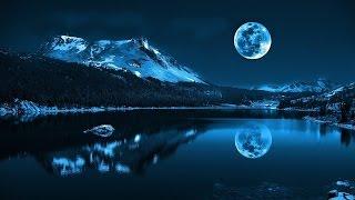 Lonesome Moonlight Waltz -- David Naiditch, Stuart Duncan, Rob Ickes