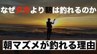 夕マズメより朝マズメはなぜ釣れる？釣りで朝早いと釣れる理由とは