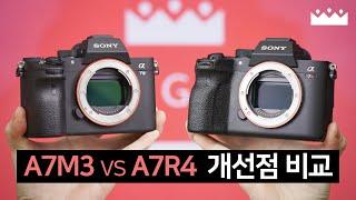 소니 A7R4 vs A7M3  디자인 스펙 개선점 비교