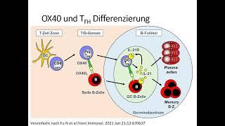 Teil 17: Kaposi-Sarkom und OX40