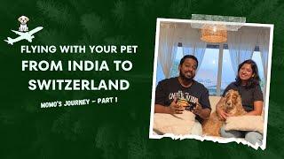 Flying with your PET from INDIA  to SWITZERLAND |Momo's Journey-Part-1| Marathi vlog