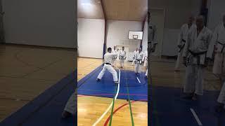 Yamaguchi-Sensei demonstrating the gedan-barai age-uke part of kata junro shodan