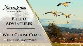 WILD GOOSE CHASE - Photo Adventure Ep1