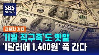 '11월 직구족'도 옛말…'1달러에 1,400원' 쭉 간다 / SBS / 친절한 경제