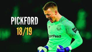 Jordan Pickford ● Saves Compilation ● 2018/19｜HD