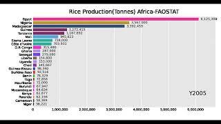 Rice Production, Area Harvested and Yield -African countries