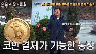 한국 최초 코인 결제가 가능한 농장? 세종식물원 모든 묘목을 코인으로 결제 가능합니다! #코인 #묘목 #농업 #농사 #세종식물원 #정원 #정원가꾸기 #가드닝