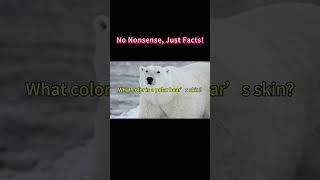 What color is a polar bear’s skin?