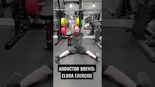 THE L2-L3 ELDOA EXERCISES FOR THE ADDUCTOR BREVIS MUSCLE!!! #Shorts