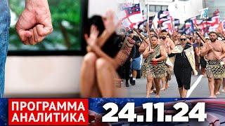 Программа «Аналитика» 24.11.24