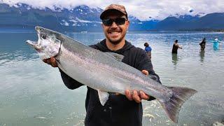 Snagging Coho Salmon with Sea Lions & Bears | Coconut Fish Head Soup