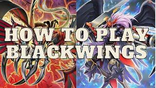 HOW TO PLAY BLACKWING (POST DARKWING BLAST) | Yu-Gi-Oh! (Deck Profile and Combos)