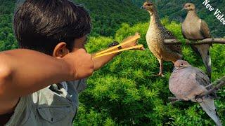 Sling Shot Hunting Wild Dove Pegion Partridges | Fresh Food For Table | Slingshot Hunting