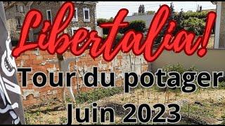 Tour du Potager Urbain Juin