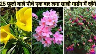 Best 25+ Permanent Flowering Plants Name With Price and Care Tips/Summer Flowering Plants Name//