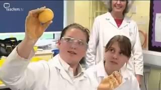 Teachers TV: Extended Schools - Science and Engineering Clubs - Amersham