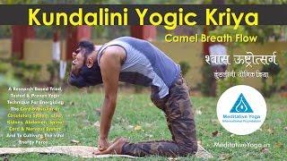 Say No to Angioplasty & Bypass Surgery - Camel Breath Flow Yogic Technique