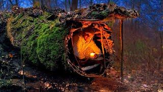 Building a Warm and Cozy Hollow for Survival, in the root of a fallen spruce. Secret cave, Bushcraft