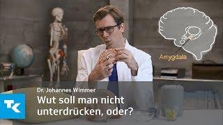 Wut soll man nicht unterdrücken, oder? | Dr. Johannes Wimmer