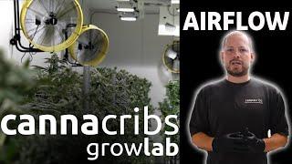 Optimizing Grow Room Airflow: Fans, Ventilation, Airflow Mapping & Advanced Techniques