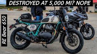 RE Bear 650 after 5000 Rough & Tough Miles - Crazy Fun Bike - Wahoo!
