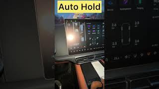 #autohold #lixiang #li9 #li7 #lixiangforblondes