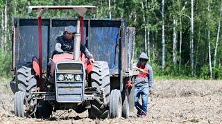 Feds setting temporary foreign worker targets for first time