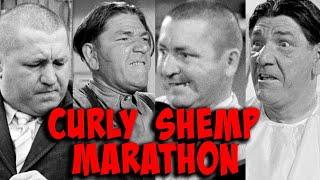 Over THREE HOURS THREE STOOGES MARATHON! - CURLY and SHEMP!