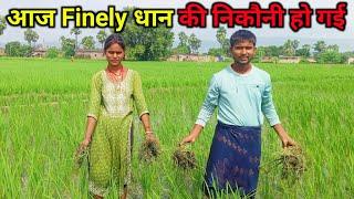 आज Finely पूरा धान की निकौनी हो गई | Rangila Family Vlogs | Daily Vlogs | Rangila Family Vlogs Today