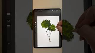 Procreate How to Draw a Tree Nature Tutorial