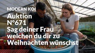 Konishi Koi News - Alle Koi aus Auktion N°671 im Detail erklärt