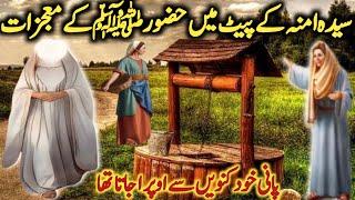 Bibi Amina ke pet mein me Huzoorﷺ Ke  mojzaat l Hazrat Muhammadﷺ Ki Paidaish Ka Waqia l Iman Voice