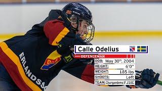 2021 CHL Import Draft | Calle Odelius (114th overall)