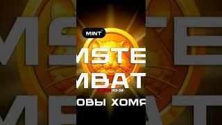 Hamster Kombat, дорожная карта, сроки, листинг #hamstercombat