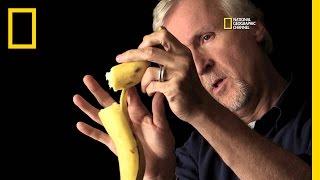 The Banana Theory: Cameron On Camera Discussion | Titanic 100