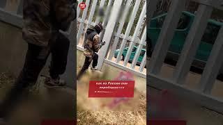Как мигранты-нелегалы пересекают границу через Беларусь: видео-дневники пути в ЕС