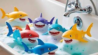 Explore Aquatic Friends: Starfish, Pufferfish, Seahorse, Eel Fish, #Dolphin #Shark