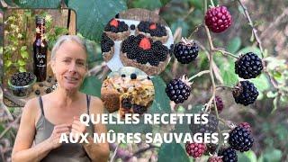 Quelles recettes aux mûres sauvages ?