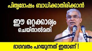 പിതൃദോഷം ബാധിക്കാതിരിക്കാന്‍ ഈ ഒറ്റക്കാര്യം ചെയ്താല്‍മതി; ഭാഗവതം പറയുന്നത് ഇതാണ് | Jyothishavartha