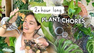 2+ HOURS(!!) of Plant Chores  Long Houseplant To-Do's Vlog | do plant chores with me