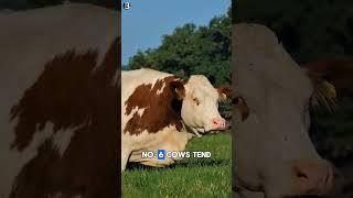 10 Crazy Facts You never Knew Before #part168