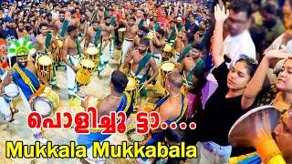 വീണ്ടും പൊളിച്ചുട്ടാ  Mukkala Mukkabala song Arimbur dhanu Pooyam | Seniors ft. Kottapadi Surendran